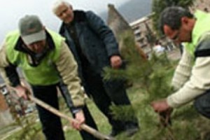 Armenian Forests NGO Starts a New Tree-Planting Project