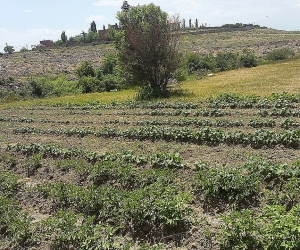 «Եթե պետական ինստիտուտներն իրար չեն հարգում, ինչպե՞ս կարող են հարգանք պահանջել սովորական քաղաքացիներից»