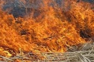 Այրվել է 2 բարդի