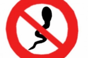 В НС обсуждался вопрос импорта cпермы