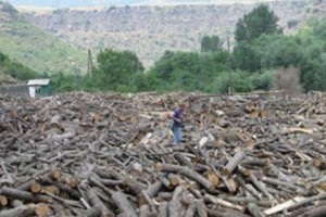 «Թռչկան» քաղաքացիական նախաձեռնությունը հրաժարվում է Թեղուտի քննարկմանը 
մասնակցելուց