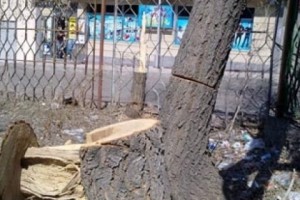 Мэрия не давала разрешение на строительство