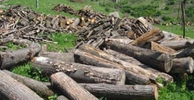 Բնապահպանական խախտումների արդյունքում պետբյուջե մուծվել է 1,24 մլն դրամ