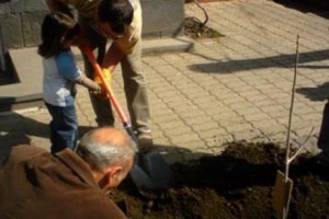 Ծառատունկ՝ ապօրինի շինարարության վայրում