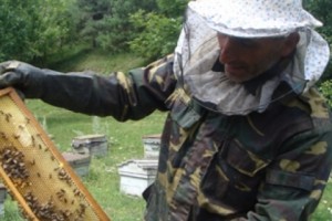 Մեղվապահությունը նման է թմրամոլության