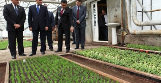 Այս տարի շուրջ 1 մլն 800 հազար ծաղիկն է տնկվելու մայրաքաղաքի կանաչ 
տարածքներում