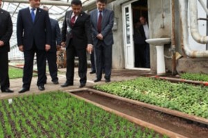 Այս տարի շուրջ 1 մլն 800 հազար ծաղիկն է տնկվելու մայրաքաղաքի կանաչ 
տարածքներում
