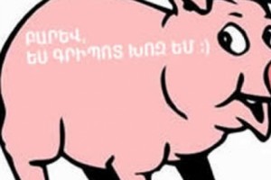 Այս տարի աֆրիկյան ժանտախտին զոհ է գնացել 1300 խոզ