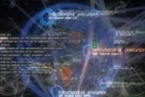 Հայտնի են «Երևակայության գավաթ Հայաստան 2012» մրցույթի հաղթողները