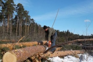 Письмо в поддержку активистов защиты Цаговского леса от «Гражданского движения  
защитников Техута»