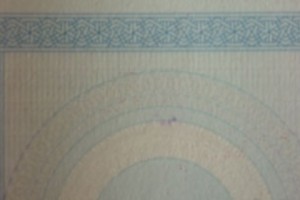 Чернила испаряются также на избирательных участках Армавирской области

