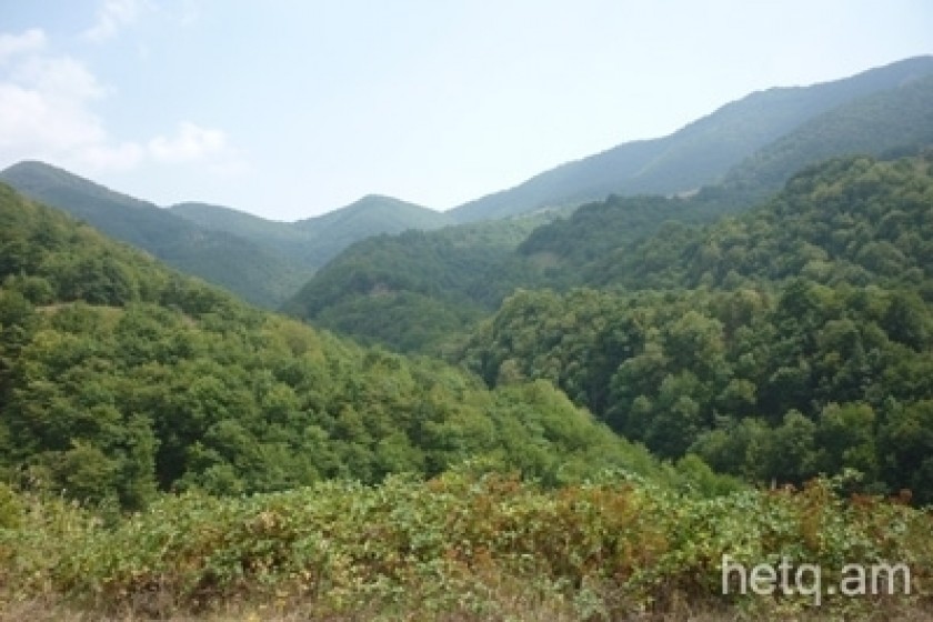 Կանտառապատվի 31 հա տարածք