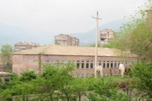 Սանահին գյուղի կովերը քոլեջ են գնում