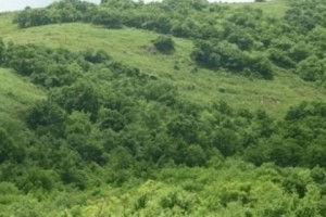 10 օրվա ընթացքում ԲՊՏ-ի կիրառած պատժամիջոցներից պետբյուջե է մուտքագրվել մոտ 1 մլն դրամ