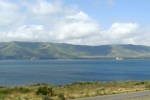 Քննարկվել է Սևանա լճի էնդեմիկ ձկնատեսակների պոպուլյացիաների վերականգնման ծրագիրը