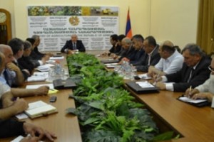 Այս տարի Երեւանում կկազմակերպվի երեք կոլտնտեսային շուկա