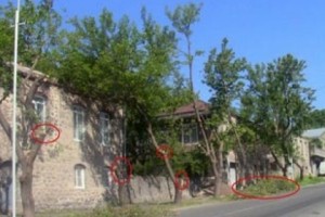 Բերքատու ծառերի ջարդ՝ Գորիսում