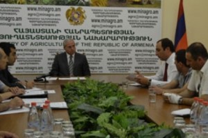 Ծիրանի մթերման գները լինելու են խելամիտ. խորհրդակցություն Սերգո 
Կարապետյանի մոտ