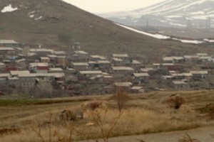 Բրուցելոզով վարակված 100 խոշոր եղջերավոր անասուն է մորթվել