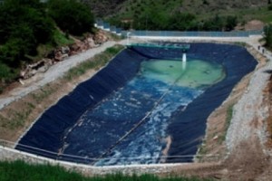 «Թեղուտ» ՓԲԸ-ն շրջայց էր կազմակերպել