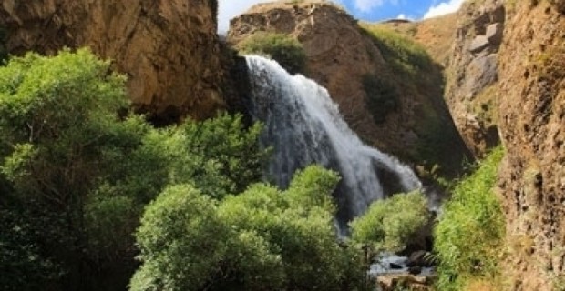 Բնապահպաններին սատարում են Շվեյցարիայից