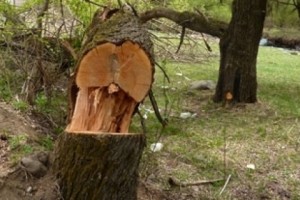 Շրջակա միջավայրին հասցված վնասը