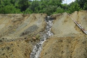 Ախթալայի կոմբինատի պոչանքի ջրերով մարդիկ լոբի, եգիպտացորեն են աճեցնում, 
անասուն արածեցնում (ֆոտո և վիդեո)