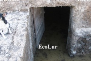 Դա կատարվել է ՀԱԷԿ-ի հարևանությամբ (վիդեո)