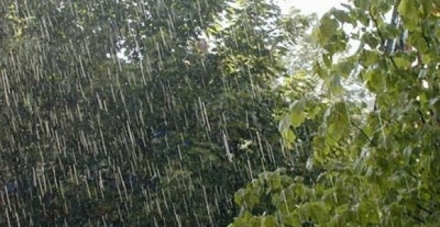 Սպասվում են տեղումներ