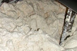 “Artificial” Bread