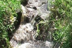 Водные процедуры