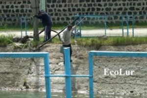 «Պետկոմիտեի` ապատեղեկացնելու մասին մեղադրանքն անհիմն է»