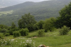 «Հայացք». Տավուշի մարզի բնապահպանական խնդիրները