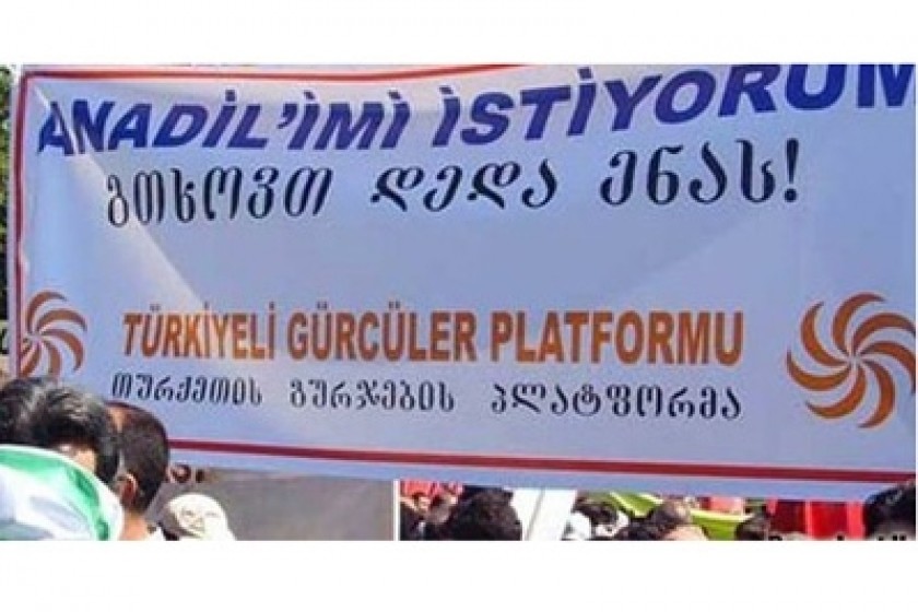 Georgians in Turkey Demand Education in Their Mother Tongue