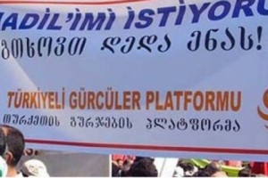 Georgians in Turkey Demand Education in Their Mother Tongue