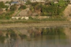 12-ամյա տղան խեղդվել է