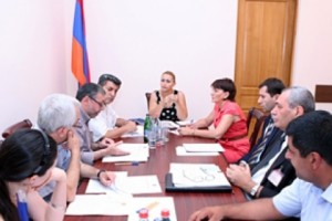 ԱԺ մարդու իրավունքների պաշտպանության եւ հանրային հարցերի մշտական 
հանձնաժողովի նիստում