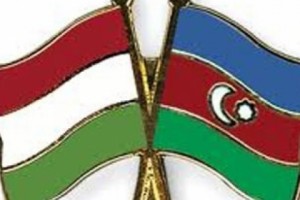 Hungary’s Foreign Ministry: Aliyev’s Pardon of Safarov “Unacceptable”