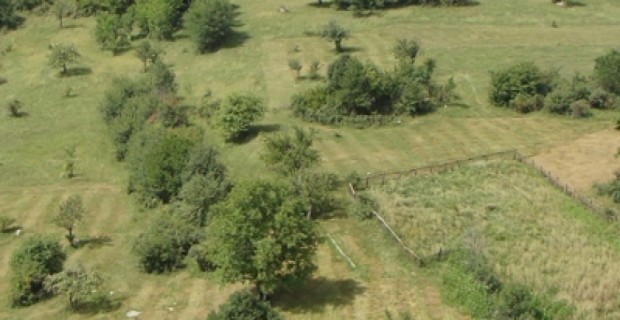 Հանդում մարդ է կորել