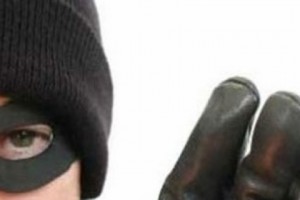 Investigation of Criminal Gang Reveals a Number of Thefts