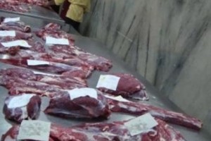 Frozen Buffalo Meat: A Who’s Who of Armenia’s Top Importers