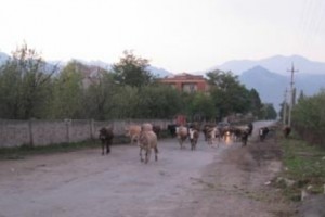 Нищета в Одзуне углубляется