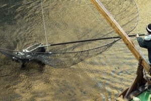 Russia: Japanese, South Korean Fishermen In Hot Water