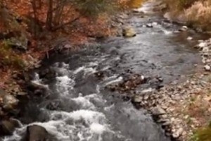 Chichkhan River :  Hydro-Plant Has Created a Dead Eco-System