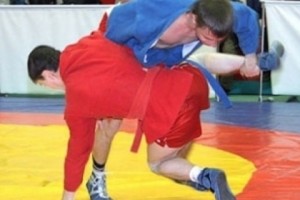 Работе Федерации самбо РА дана положительная оценка
