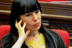 Prosperous Party MP: "The proposed 2013 budget will force Armenians to crawl"