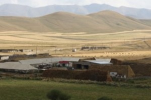 Староста не сообщил о землях, зарегистрированных на членов своей семьи