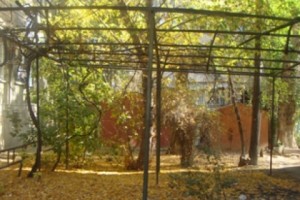 Мэрия может дать разрешение на установку павильонов, а жильцы тем временем “незаконно” 
озеленяют свой двор