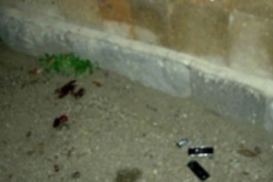 Новые подробности убийства адвоката в селе Шаумян