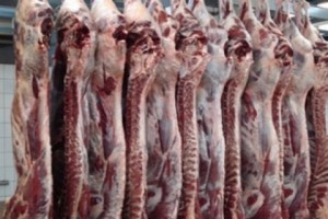 Известные и неизвестные поставщики буйволиного мяса-2